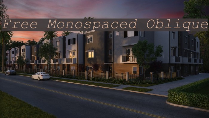 Free Monospaced Oblique Example 2