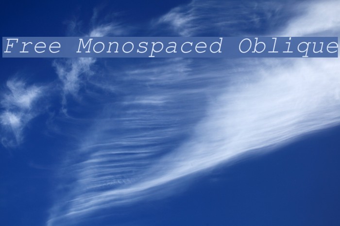 Free Monospaced Oblique Example 3