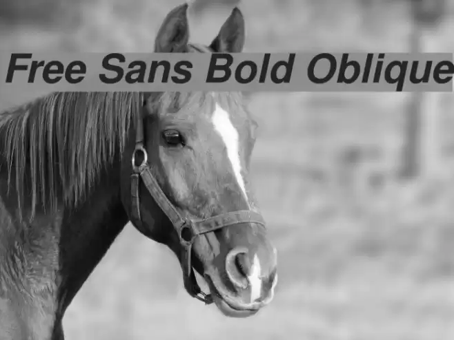 Free Sans Bold Oblique Font examples