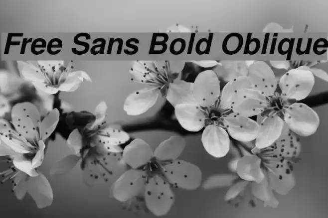 Free Sans Bold Oblique Font examples