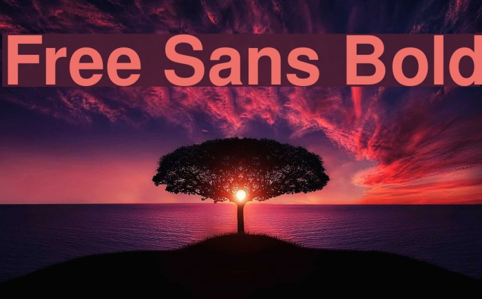 Free Sans Bold Font examples