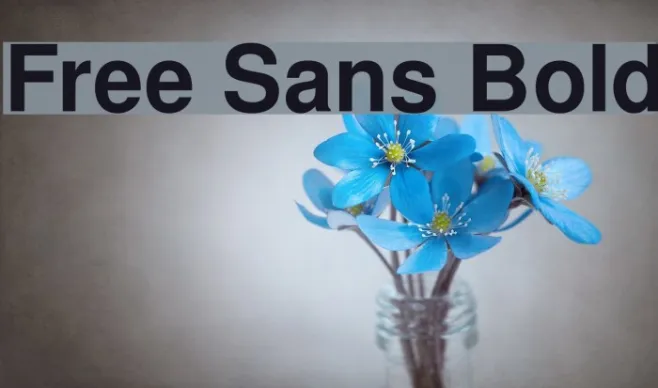 Free Sans Bold Example 3