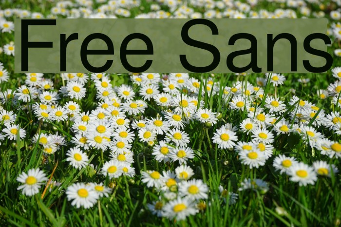Free Sans Font examples