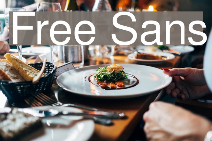 Free Sans Font examples