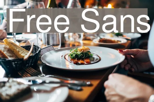 Free Sans Example 3
