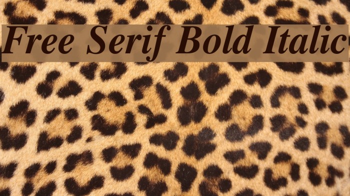 Free Serif Bold Italic Example 2