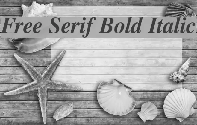 Free Serif Bold Italic Font examples