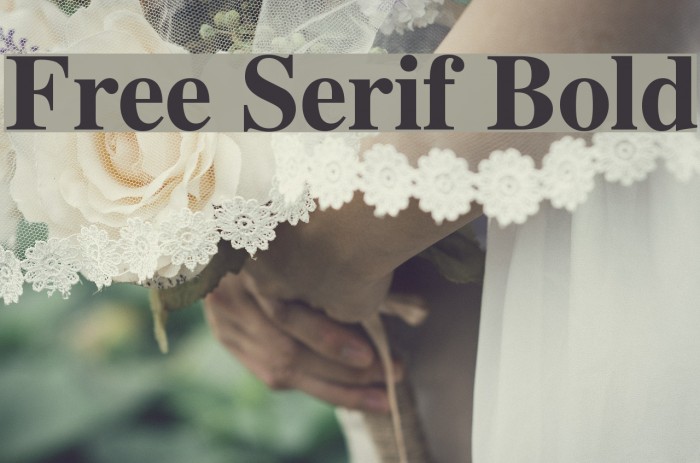Free Serif Bold Font examples