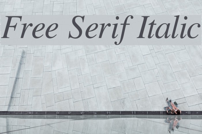 Free Serif Italic Font examples