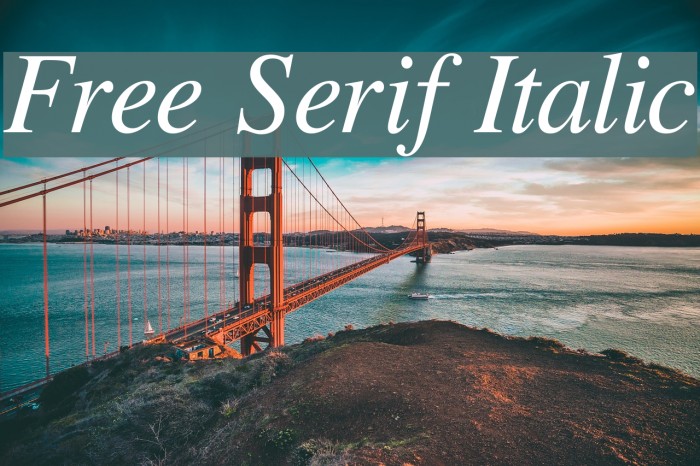 Free Serif Italic Font examples