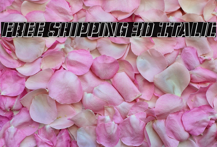 Free Shipping 3D Italic Example 1