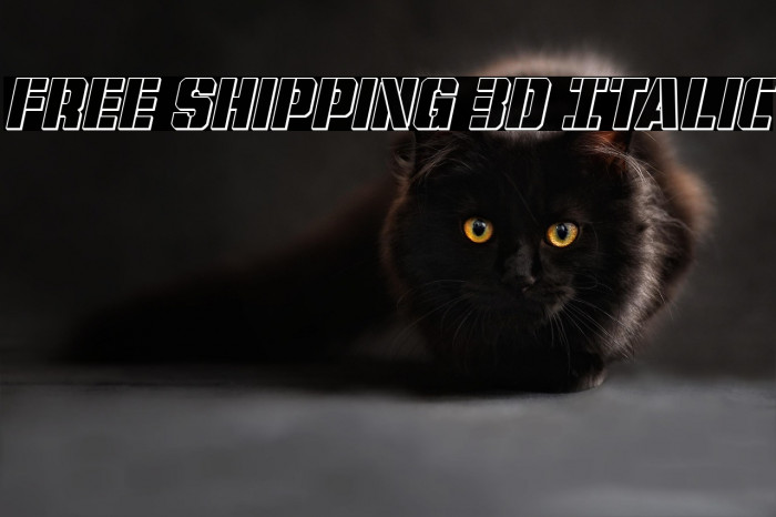 Free Shipping 3D Italic Example 2