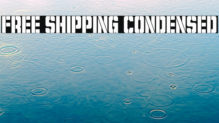 Free Shipping Condensed Example 2