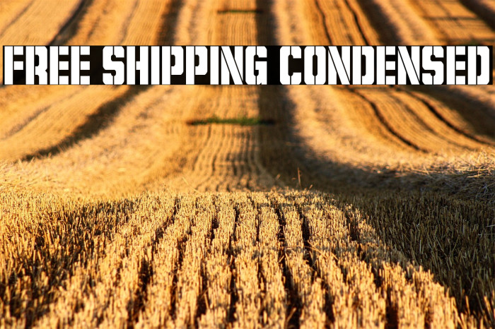 Free Shipping Condensed Example 3