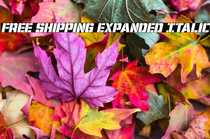 Free Shipping Expanded Italic Example 2