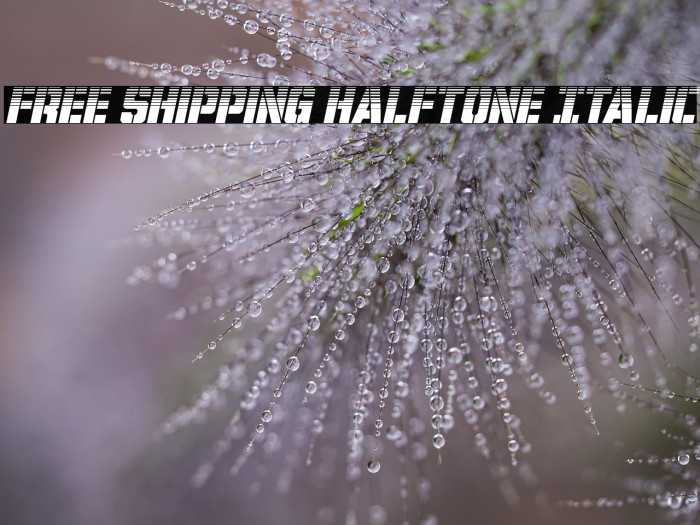 Free Shipping Halftone Italic Example 1