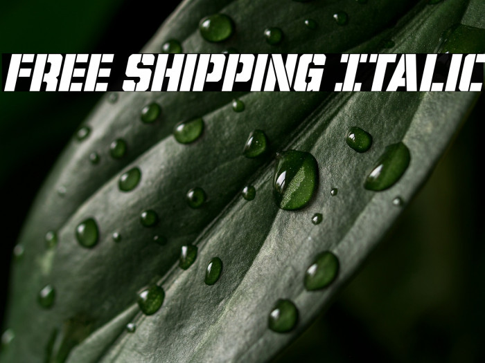 Free Shipping Italic Example 2