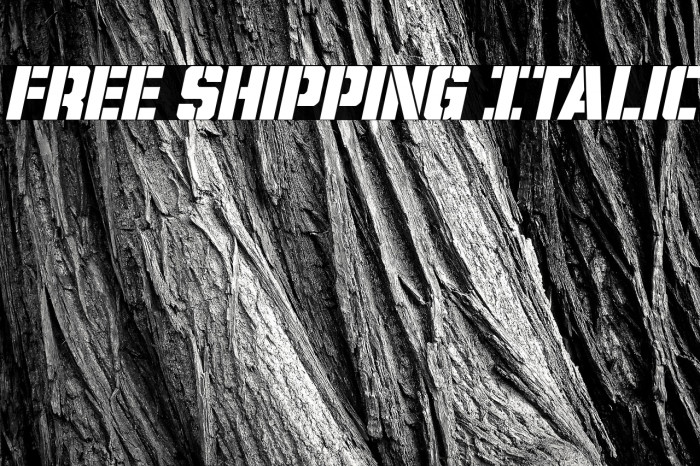 Free Shipping Italic Example 3