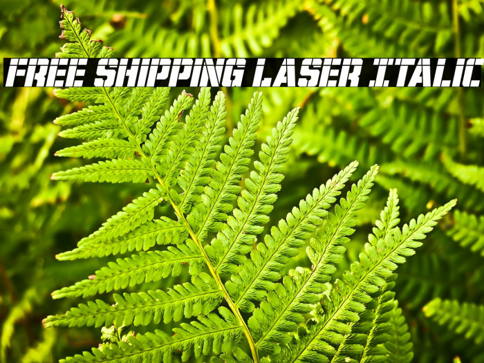 Free Shipping Laser Italic Example 1