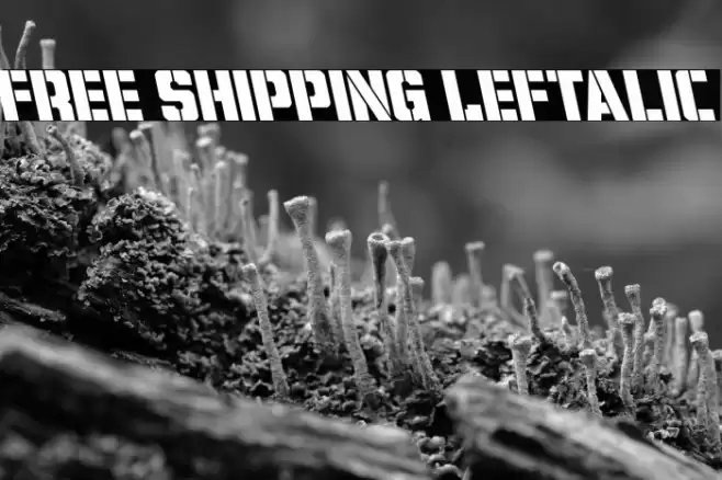Free Shipping Leftalic Font examples