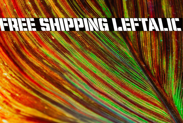 Free Shipping Leftalic Example 3