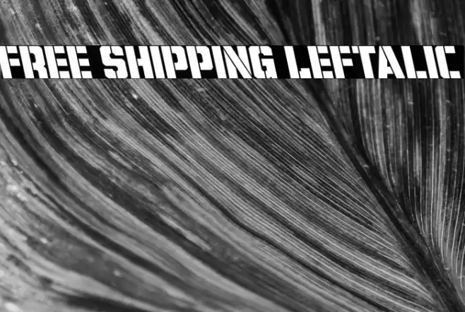 Free Shipping Leftalic Font examples