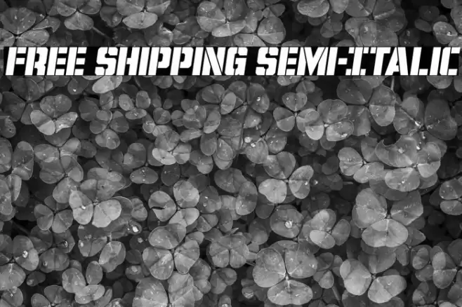 Free Shipping Semi-Italic Font examples
