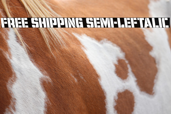 Free Shipping Semi-Leftalic Example 1