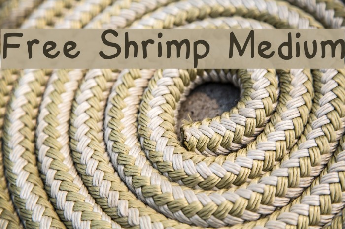 Free Shrimp Medium Font examples