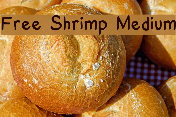 Free Shrimp Medium Font examples