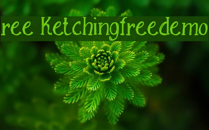 Free Sketching_free-demo Example 2