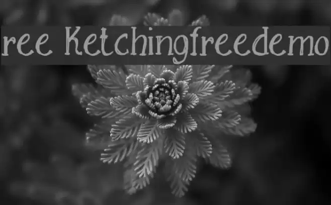 Free Sketching_free-demo Font examples