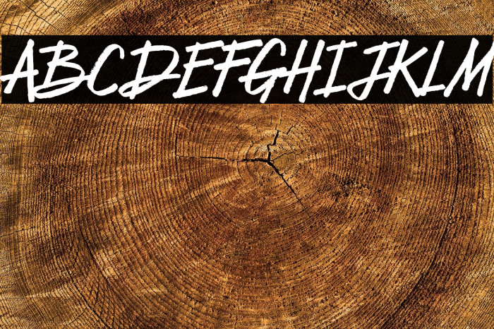 Free Spirit Example 2