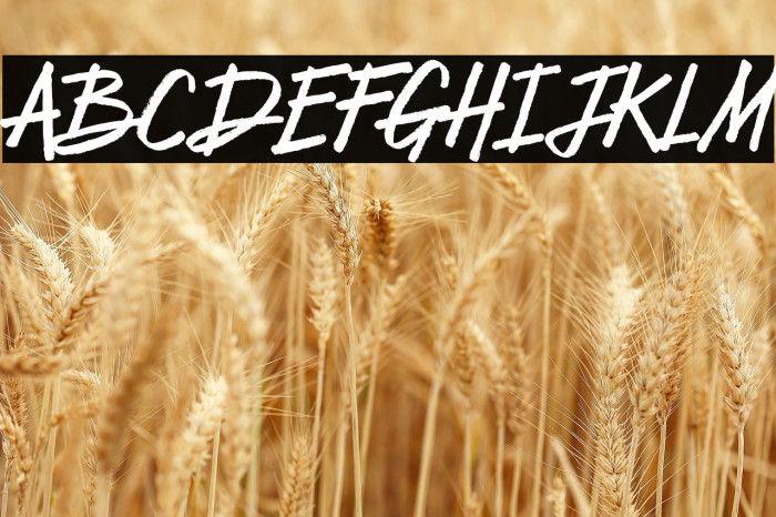 Free Spirit Example 3