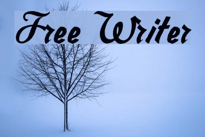 Free Writer Example 1