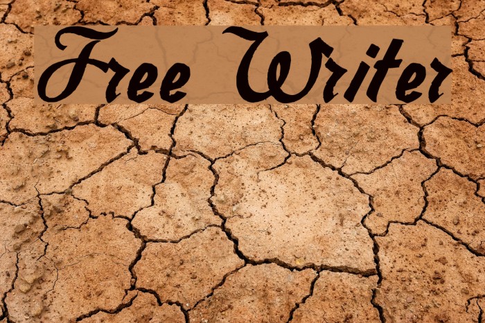 Free Writer Font examples