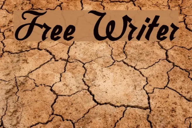 Free Writer Example 3