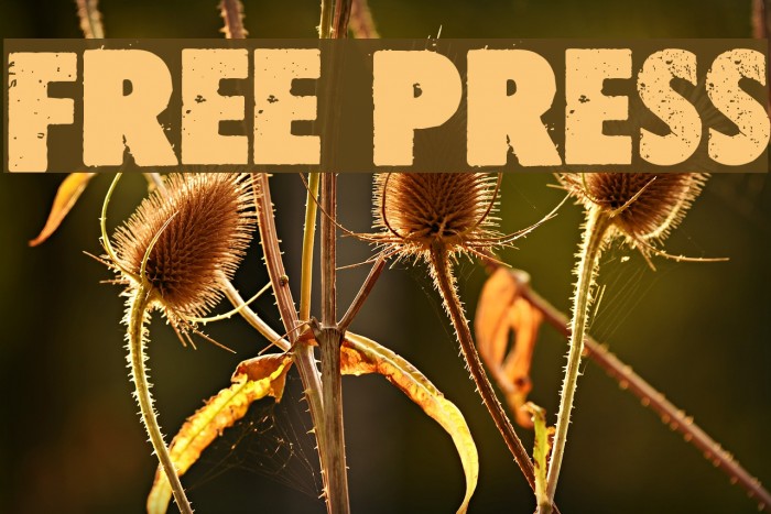 Free press Font examples