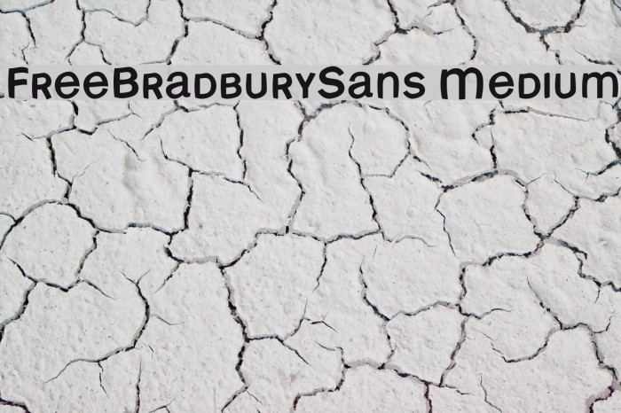 FreeBradburySans Medium Font examples