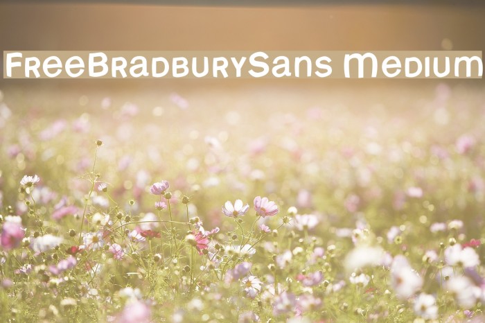 FreeBradburySans Medium Font examples