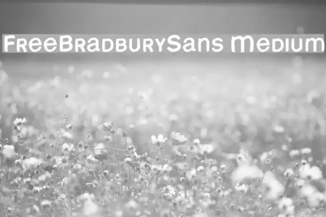FreeBradburySans Medium Font examples