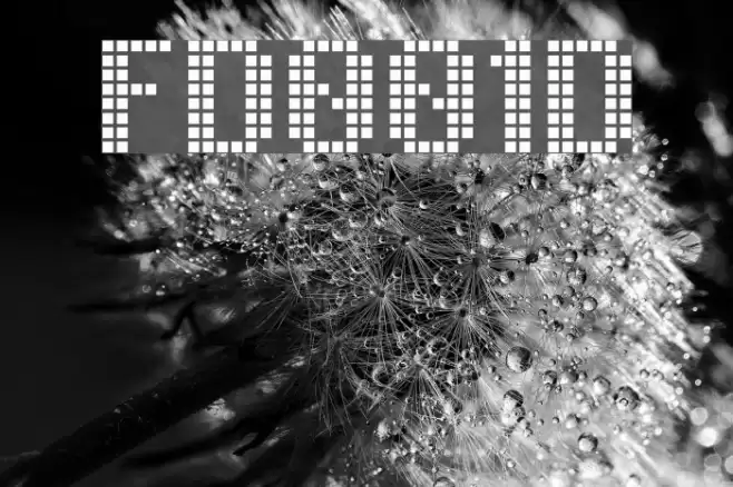 FreeDesign001Dotdot Font examples