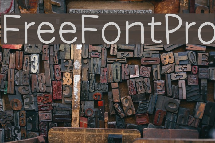 FreeFontPro Example 2