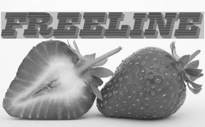 FreeLine Font examples