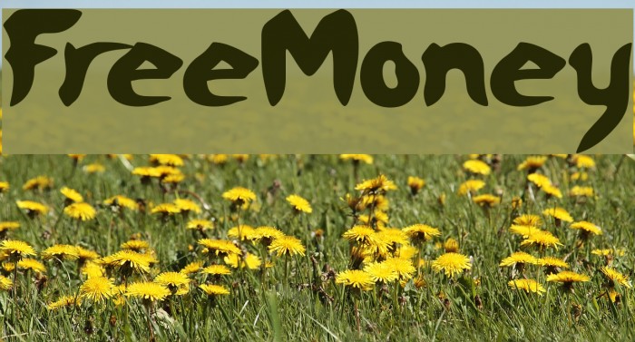 FreeMoney Font examples