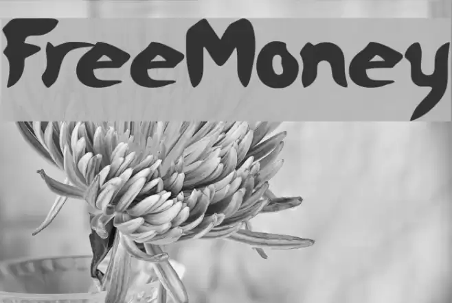 FreeMoney Font examples