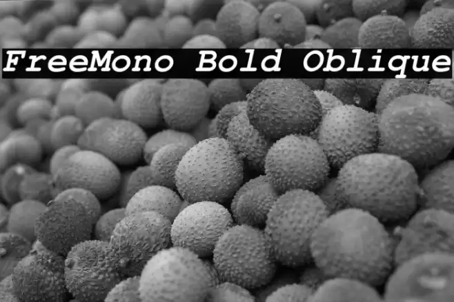 FreeMono Bold Oblique फ़ॉन्ट examples