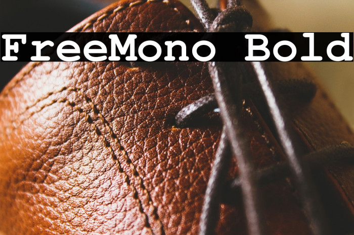 FreeMono Bold Example 3