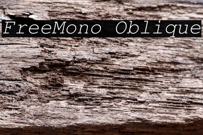 FreeMono Oblique Example 1