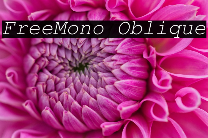 FreeMono Oblique Example 3